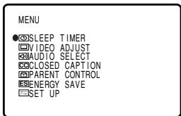 MENU ●SLEEP TIMER □VIDEO ADJUST ☑AUDIO SELECT ☑CLOSED CAPTION ☑PARENT CONTROL ☑ENERGY SAVE ☑SET UP