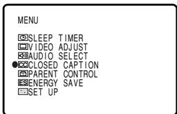MENU ☑SLEEP TIMER ☐VIDEO ADJUST ☑AUDIO SELECT ●☑CLOSED CAPTION ☑PARENT CONTROL ☑ENERGY SAVE ☑SET UP