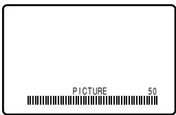 PICTURE 50