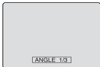 ANGLE 1/3