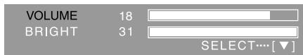 VOLUME 18 BRIGHT 31 SELECT…[▼]
