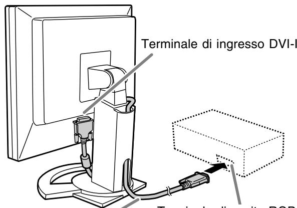 Terminale di ingresso DVI-I Terminale di accesso POP