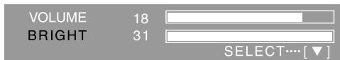 VOLUME 18 BRIGHT 31 SELECT...[▼]