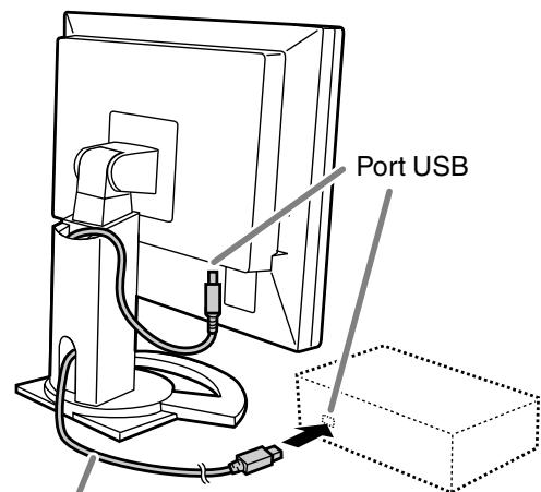 Port USB