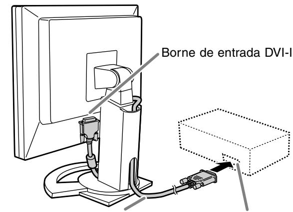 Borne de entrada DVI-I