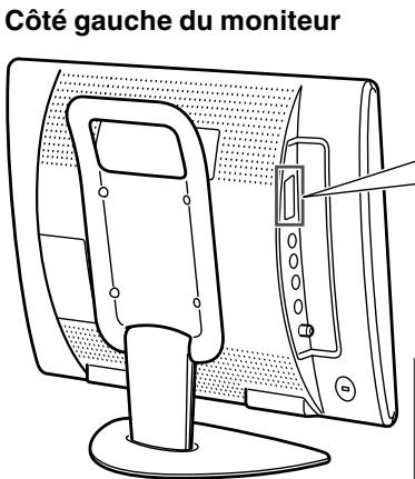 SHARP LL-171ME - Équipement AV avec des bornes Euro-Péritel (RVB) à 21 broches - 1