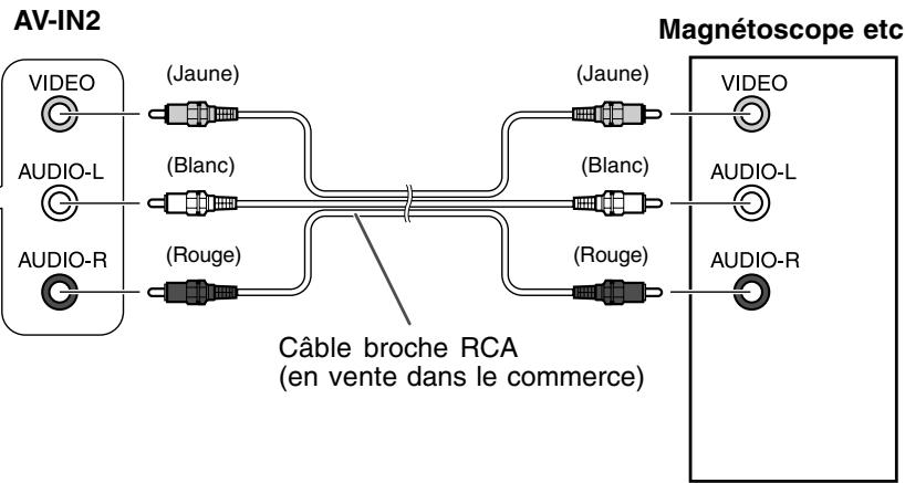 SHARP LL-171ME - Équipement AV avec des bornes Euro-Péritel (RVB) à 21 broches - 3
