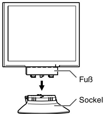 Fuß Sockel