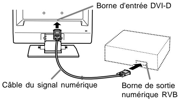 Borne d'entrée DVI-D Câble du signal numérique Borne de sortie numérique RVB