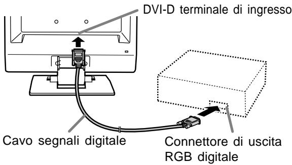 DVI-D terminale di ingresso Cavo segnali digitale Connettore di uscita RGB digitale