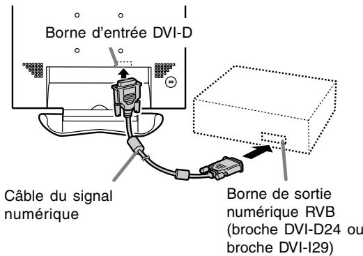 Borne d'entrée DVI-D Câble du signal numérique Borne de sortie numérique RVB (broche DVI-D24 ou broche DVI-I29)