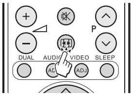 DUAL AUDIO VIDEO SLEEP AC ADJ