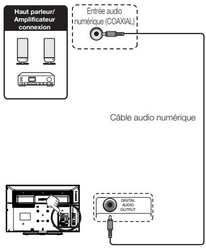 Haut parleur/ Amplificateur connexion Entrée audio numérique (COAXIAL) Câble audio numérique DIGITAL AUDIO OUTPUT