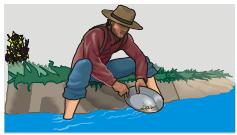 SHARP DV-SV80S(Q) - LARGE (écran large 16x9) : - 1