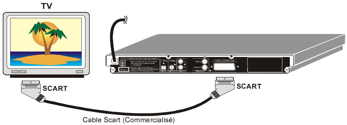 SHARP DV-SV80S(Q) - Prise scart : - 1