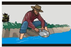 SHARP DV-SV80S(Q) - NORMAL / LB (4x3 Letterbox) : - 1