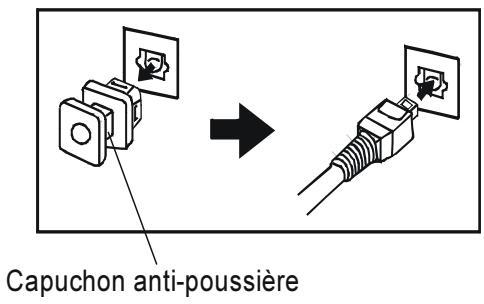 SHARP DV-SV80S(Q) - Prises de sortie audio digitales - 3