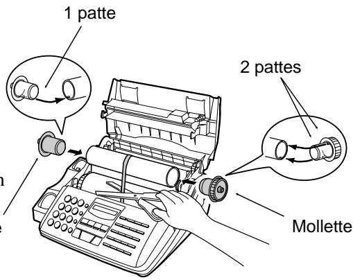 1 patte 2 pattes Mollette