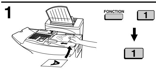 1 FONCTION 1 ↓ 1