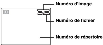 FUJIFILM S5 PRO - VERIFICATION - 1