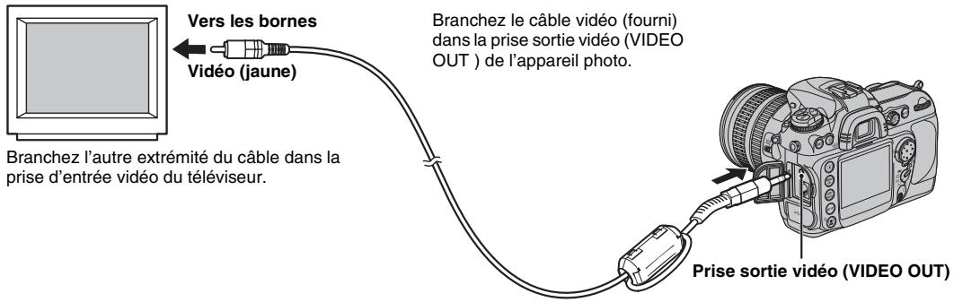 FUJIFILM S5 PRO - Connexion à un téléviseur - 1