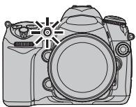 FUJIFILM S5 PRO - Illuminateur d'assistance AF - 1