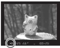 FUJIFILM S5 PRO - Mise au point sur un sujet. - 2