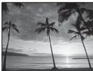 FUJIFILM J100 - COUCHER SOL. - 1