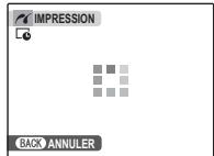 FUJIFILM J100 - Pendant l'impression - 1