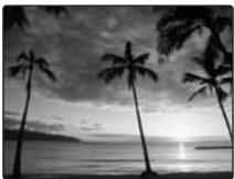 FUJIFILM FINEPIX A820 - COUCHER SOL. - 1
