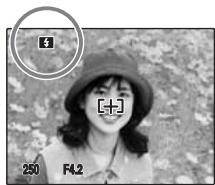 FUJIFILM FINEPIX A820 - Flash - 1