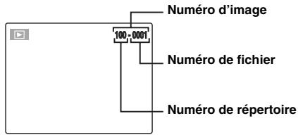 Numéro d'image 100,0001 Numéro de fichier Numéro de répertoire
