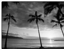 FUJIFILM FINEPIX F31FD - COUCHER SOL. - 1
