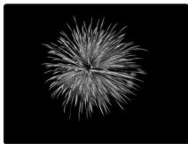 FUJIFILM FINEPIX F31FD - FEUX ARTIF. - 1
