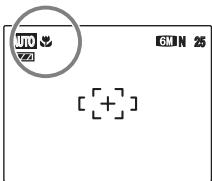 UTO ZI 6 MIN 25 [ + ]