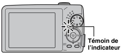 FUJIFILM FINEPIX F480 - Affichage du témoin de l'indicateur - 1