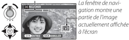 FUJIFILM FINEPIX S2950 - RECADRER - 1