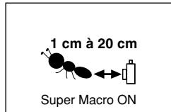 FUJIFILM FINEPIX S602 - Causes des erreurs de mise au point et solutions - 3
