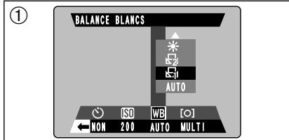 FUJIFILM FINEPIX S602 - Balance des blancs - 4
