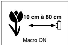 FUJIFILM FINEPIX S602 - Causes des erreurs de mise au point et solutions - 2