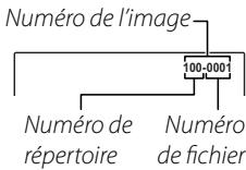 FUJIFILM X20, COMPACT EXPERT FINEPIX X20 - NUMERO IMAGE - 1