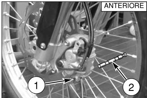 ANTERIORE 1 2