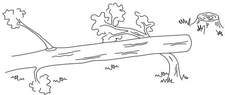 HUSQVARNA 235 R - Basisveiligheidsregels - 3