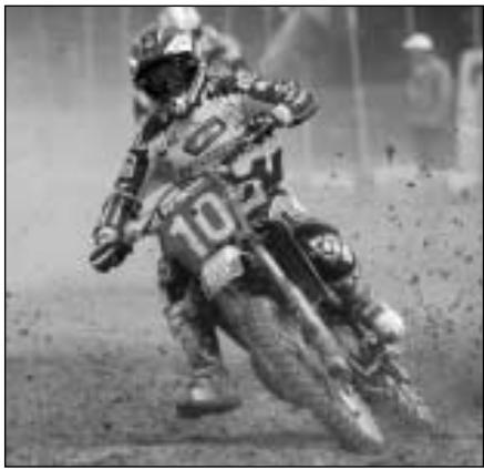 HUSQVARNA SM 400-450 R - TERREIN BOUEUX - 2