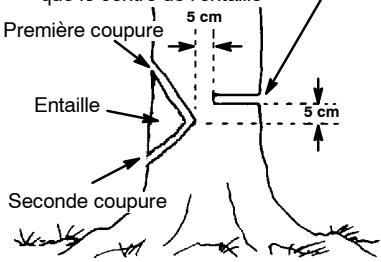 Première coupure 5 cm Entaille 5 cm Seconde coupure