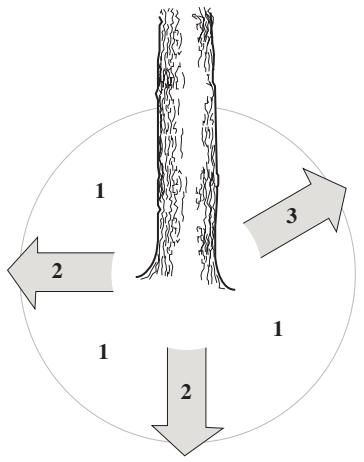 HUSQVARNA 272XP - Émondage des branches basses et voie de retraite - 2