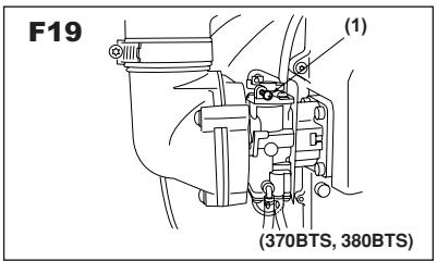 F19 (1) (370BTS, 380BTS)