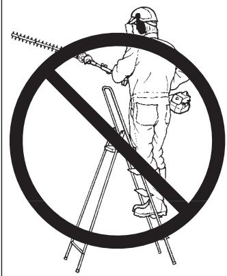 HUSQVARNA HEDGE TRIMMER - Norme di sicurezza per l'ambiente circostante - 1