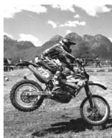 HUSQVARNA HVA TE TC SMR 310 2010 - WICHTIGE ANWEISUNGEN - 4