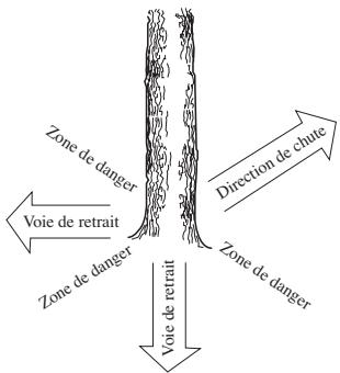 HUSQVARNA CARB III - Émondage des branches basses et voie de retraite - 2